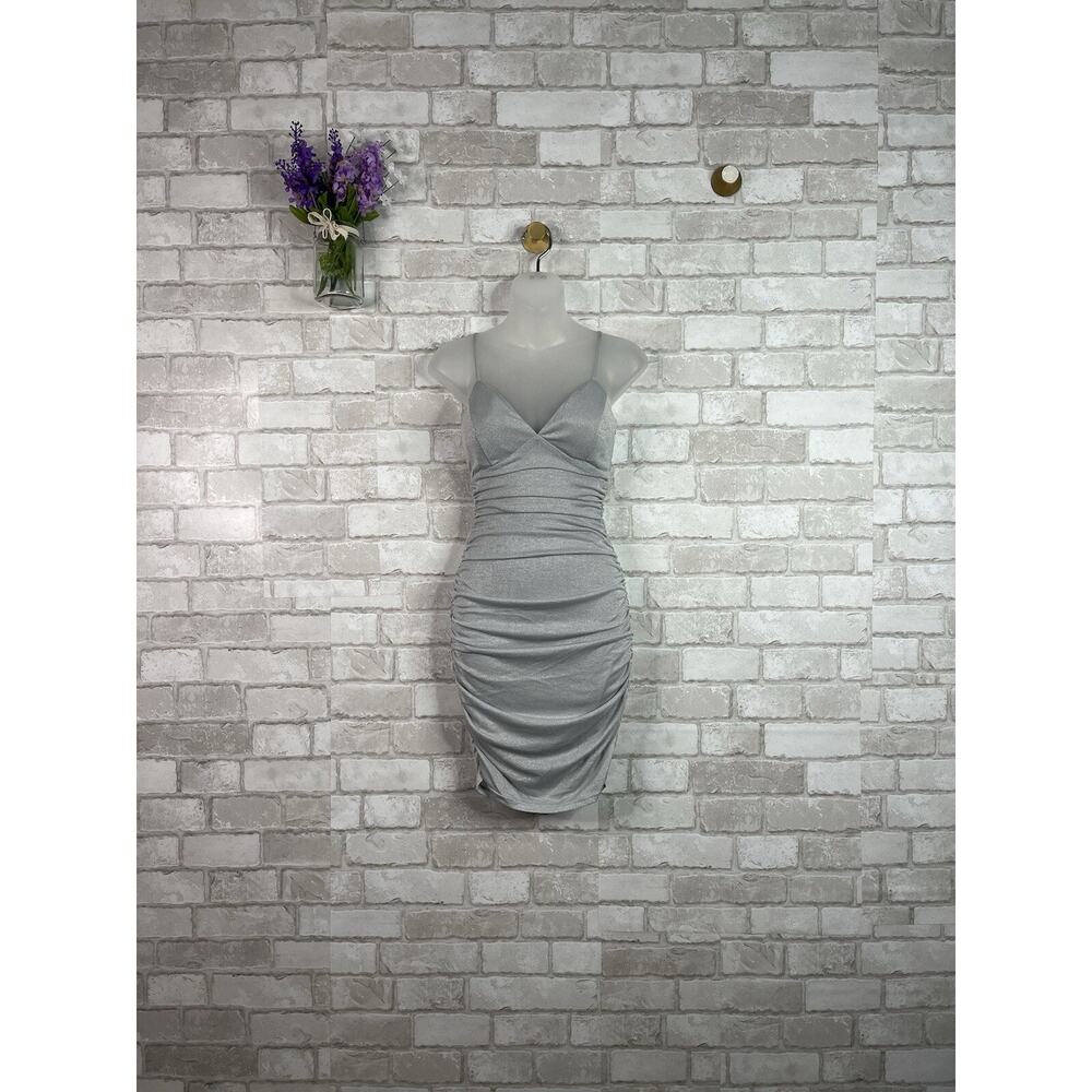 NWT Windsor Privy Silver Sparkly Dress